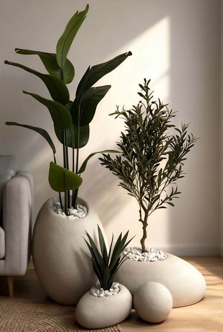 Elegant Planters